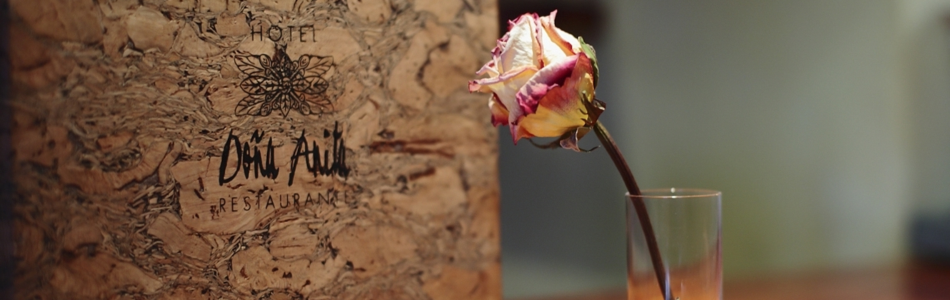 Hotel Doña Anita  header